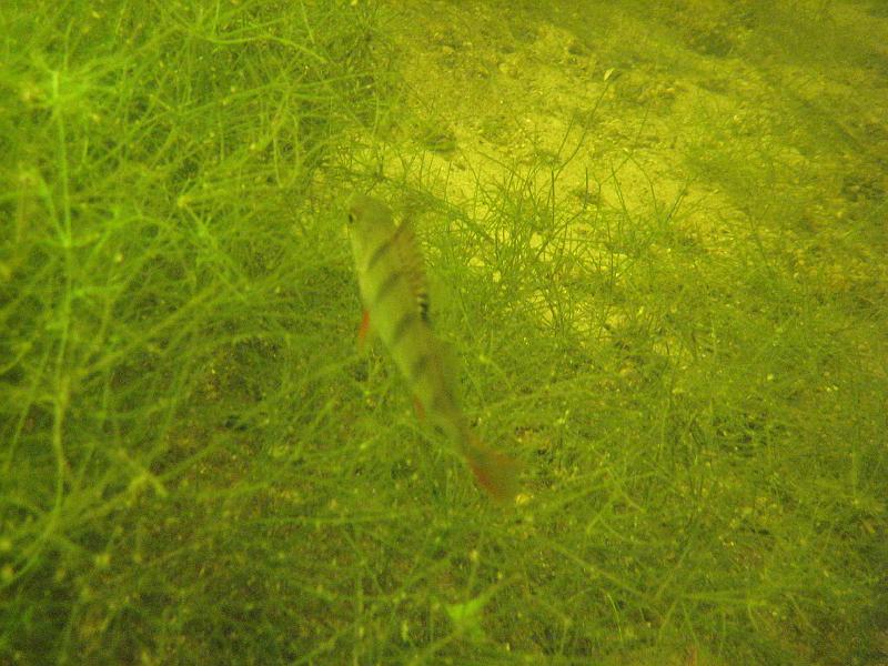 2009-08-01 14-16-35S.JPG